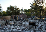 Clearing bastrop fire damage